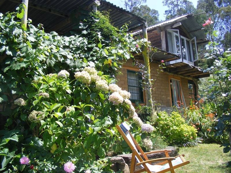 119 Harris Road, Brogo NSW 2550