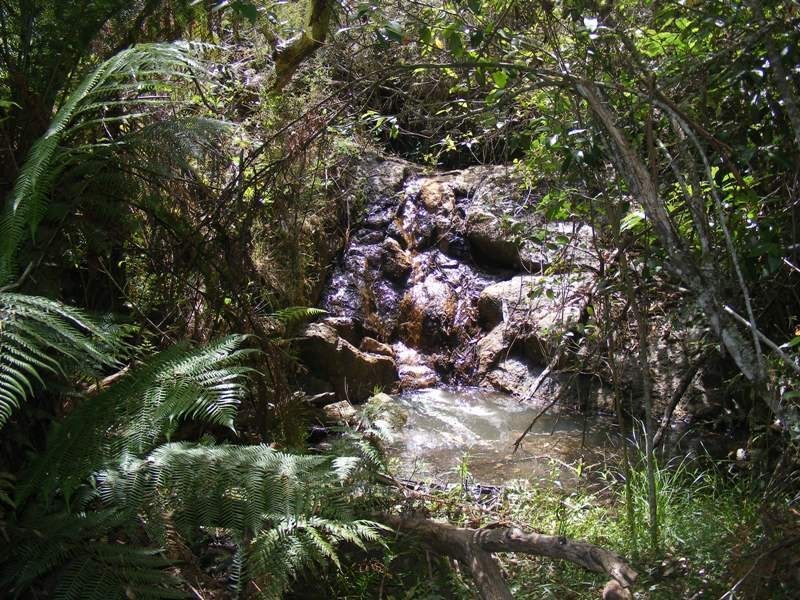 119 Harris Road, Brogo NSW 2550