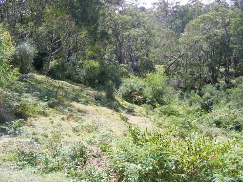 119 Harris Road, Brogo NSW 2550