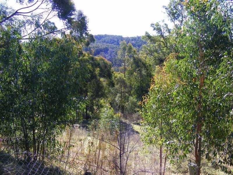 662 Hawks Head ROAD, Brogo NSW 2550