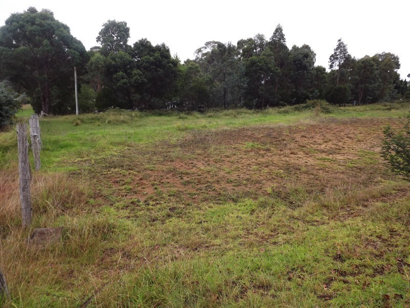 Lot 20 West Street, Wyndham NSW 2550