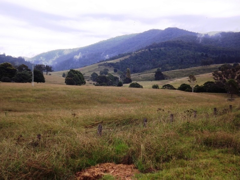 Lot 20 West Street, Wyndham NSW 2550