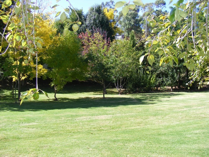 42 Panbula Street, Candelo NSW 2550