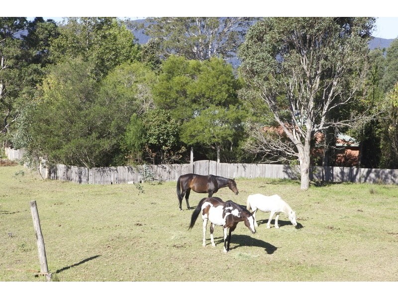 610 Warrigal Range Road, Brogo NSW 2550