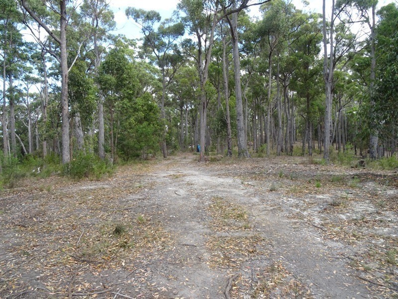 75   Boggy Creek Rd, Millingandi NSW 2549