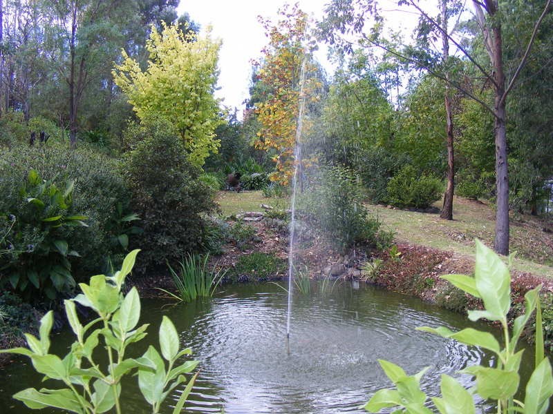 19 Broad Street, Bemboka NSW 2550