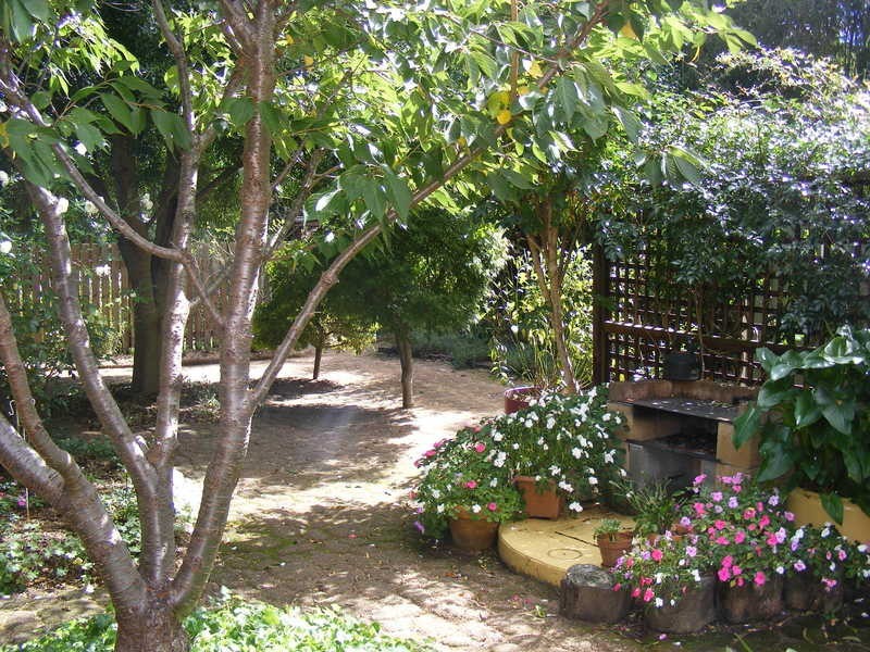 19 Broad Street, Bemboka NSW 2550