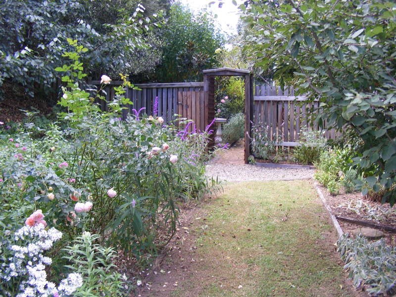 19 Broad Street, Bemboka NSW 2550