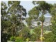 Lot 411 The Crest, Merimbula NSW 2548