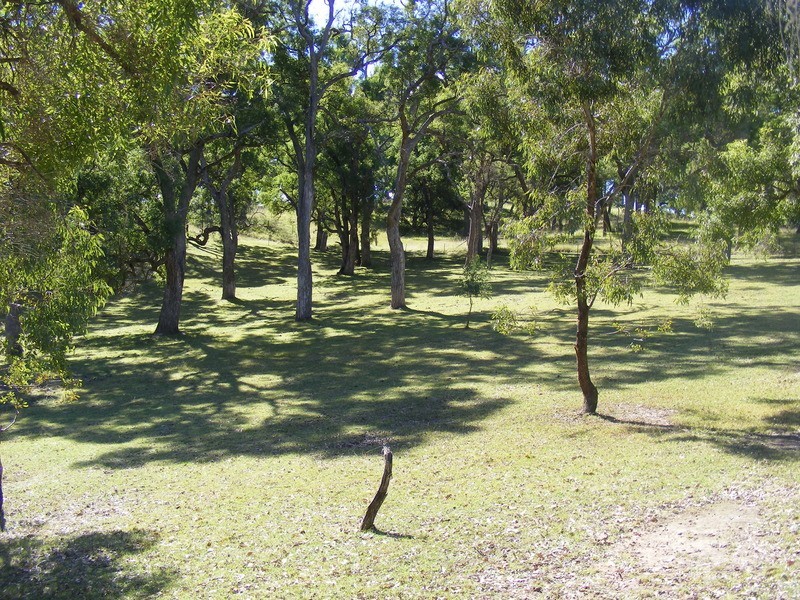 554 Niagara Lane, Candelo NSW 2550