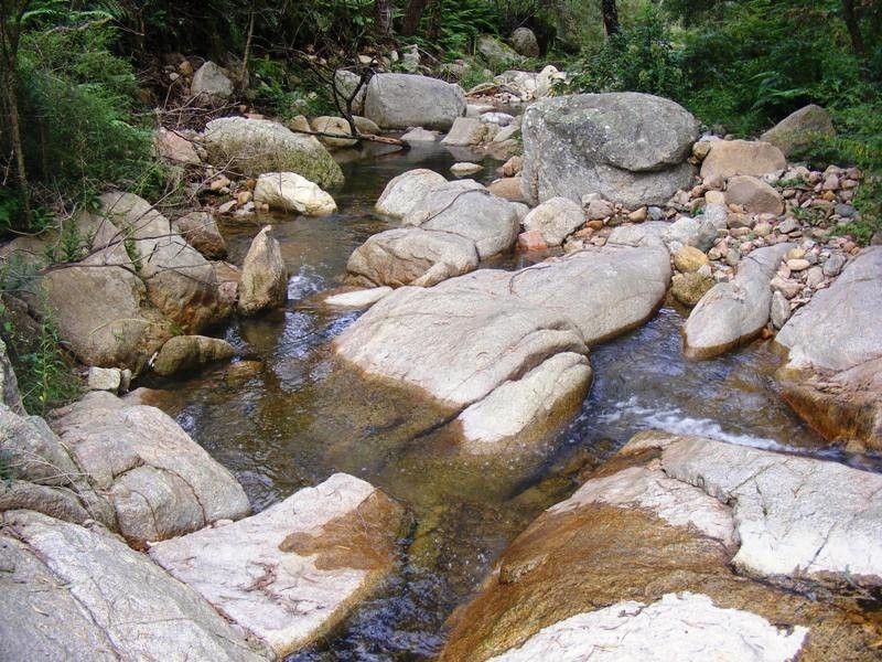 0 “Montana” Rolfe Graham Road, Mogilla NSW 2550