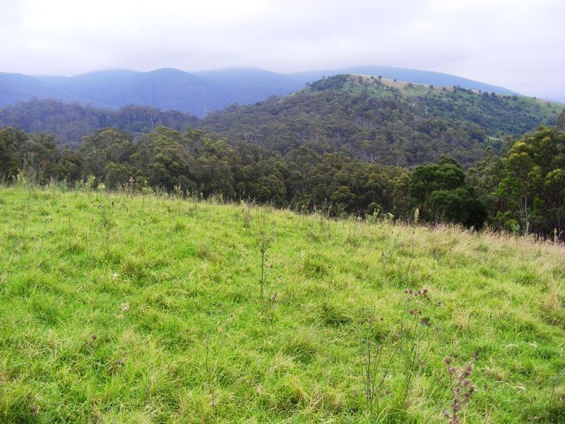 0 “Montana” Rolfe Graham Road, Mogilla NSW 2550