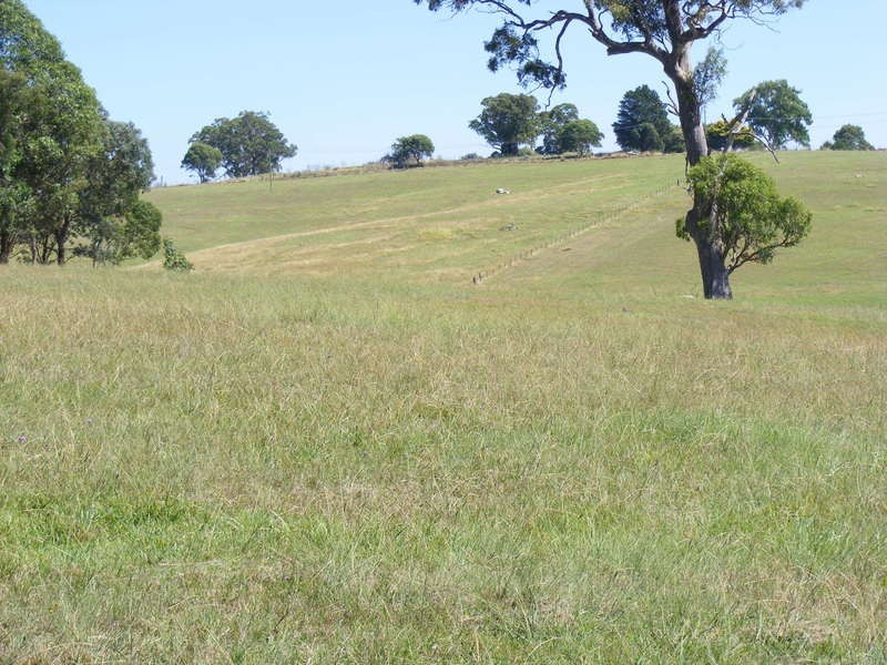 Lot 2 East Street, Bega NSW 2550