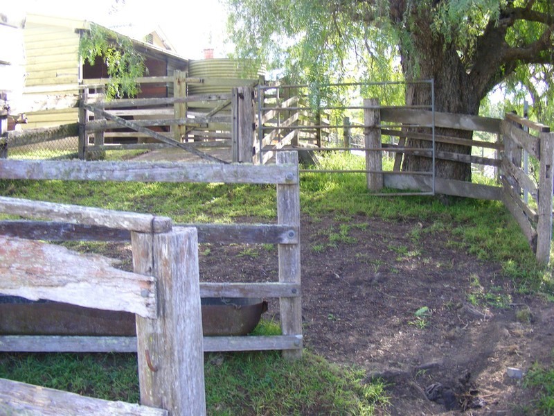 215 Daisy Hill Road, Bega NSW 2550