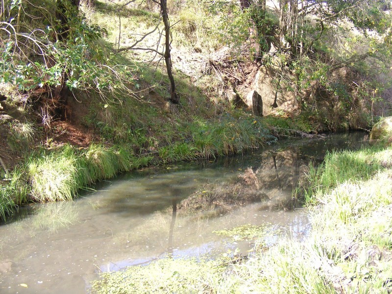 215 Daisy Hill Road, Bega NSW 2550