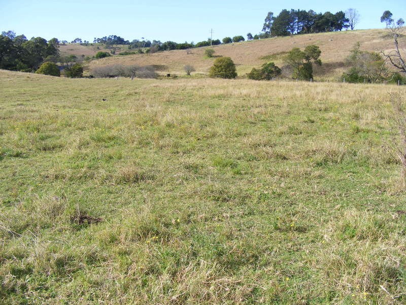 215 Daisy Hill Road, Bega NSW 2550