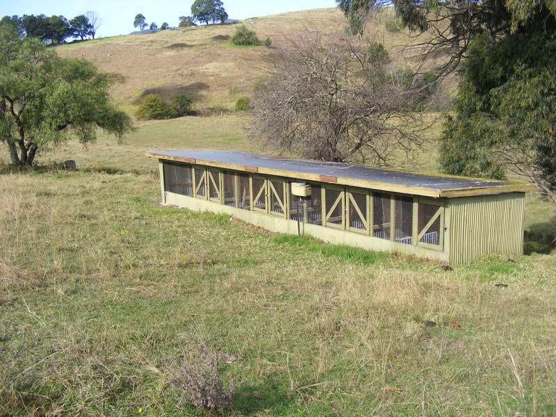 215 Daisy Hill Road, Bega NSW 2550