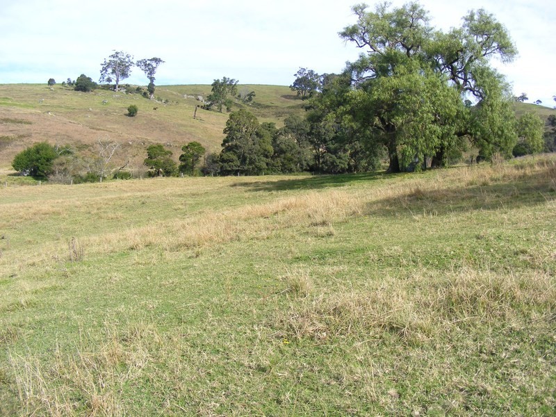 215 Daisy Hill Road, Bega NSW 2550