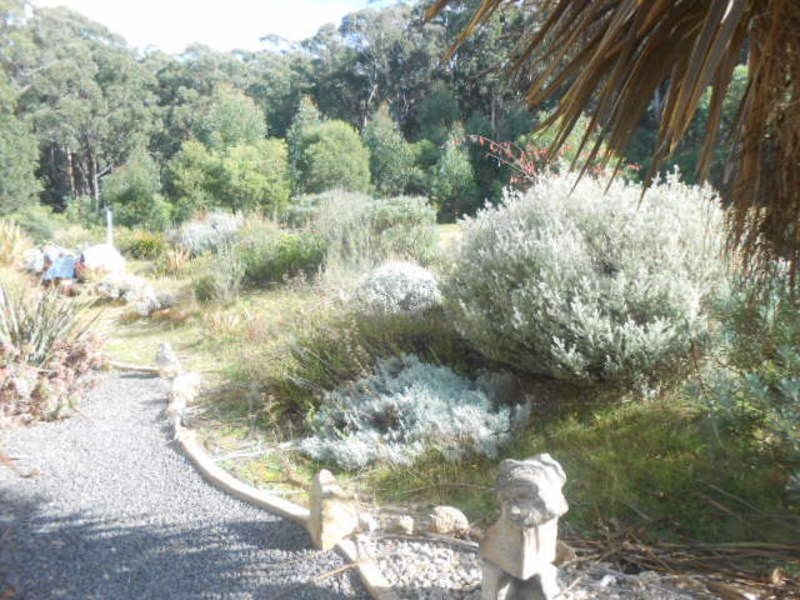 51 Myrtle Road, Myrtle Mountain NSW 2550