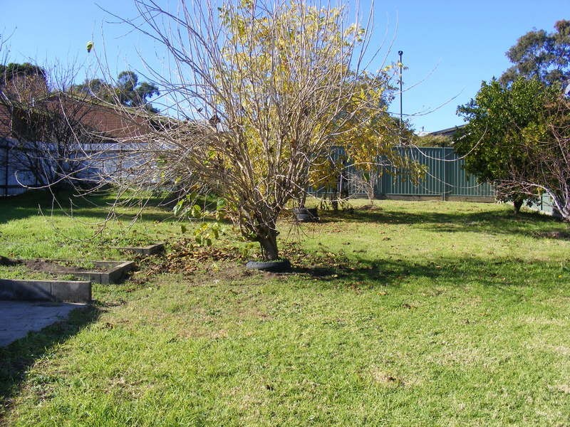 10 Wallace Street, Bega NSW 2550