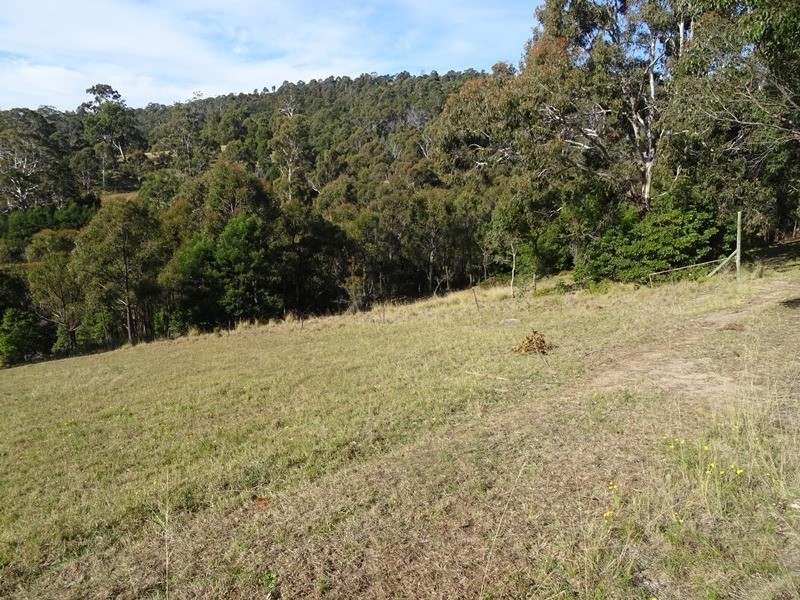 187 Black Range Road, Bega NSW 2550