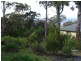 206 Mirador Drive, Mirador NSW 2548