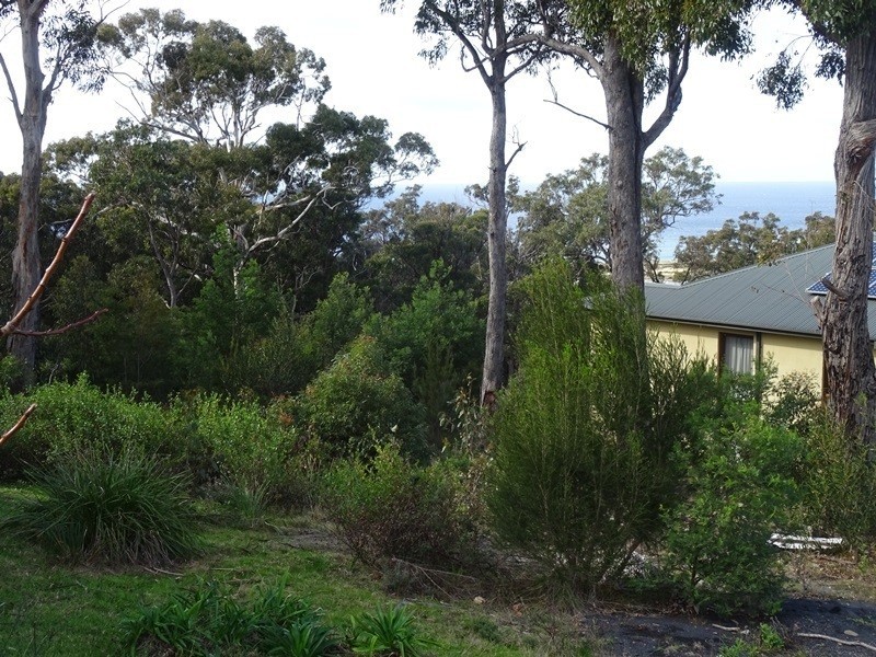 206 Mirador Drive, Mirador NSW 2548