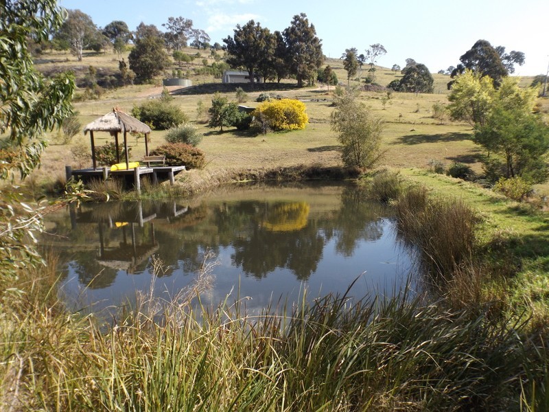 441 Oaklands Road, Bald Hills NSW 2549