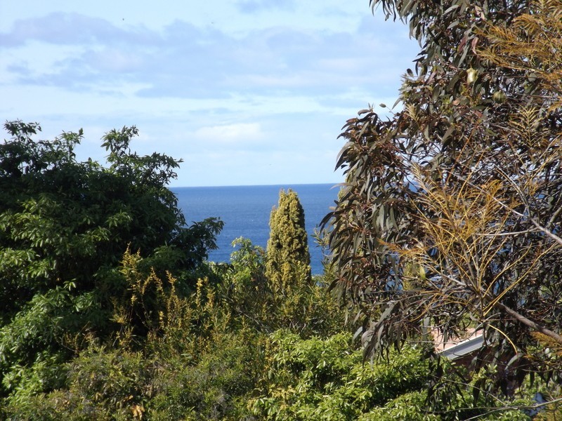 85 Surf Circle, Tura Beach NSW 2548