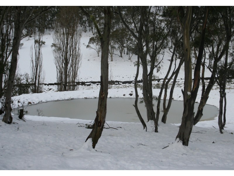 1137  Peak View Rd, Cooma NSW 2630