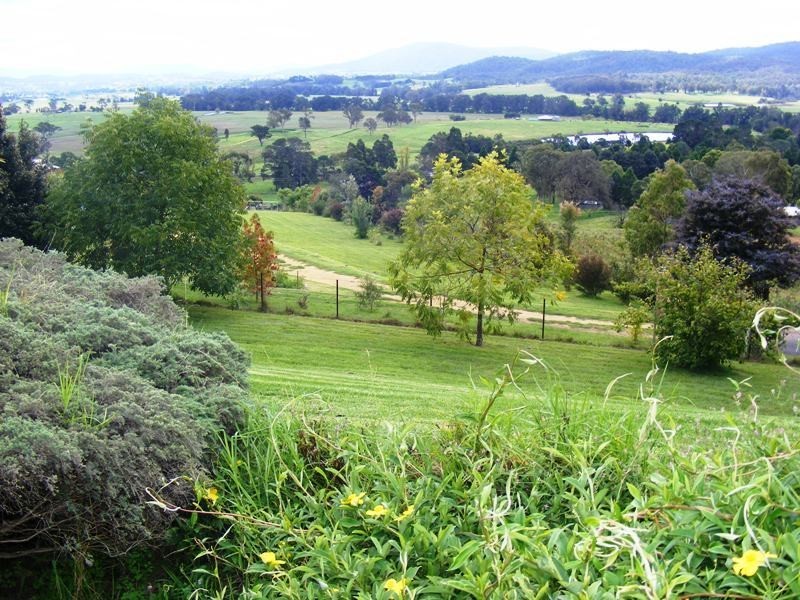 42 Darcy Lane, Jellat Jellat, Bega NSW 2550