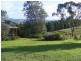178  Wyndham Lane, Toothdale NSW 2550