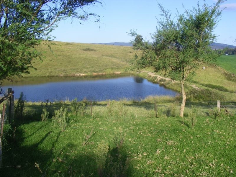 178  Wyndham Lane, Toothdale NSW 2550