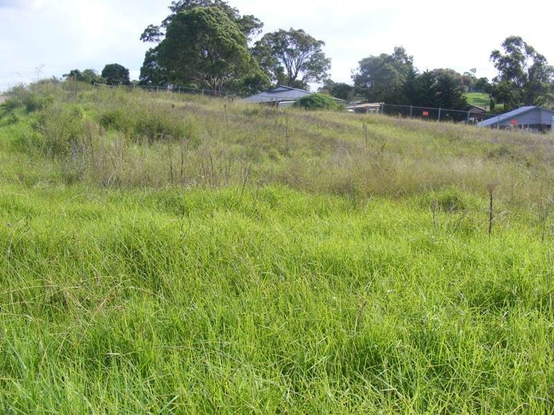 Lot 511 Glen Mia Drive, Bega NSW 2550