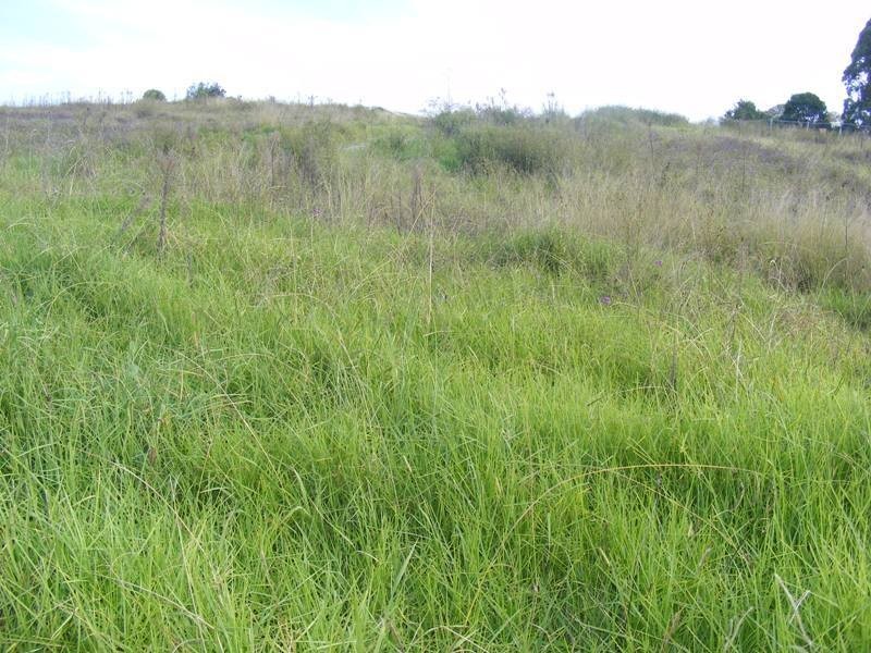 Lot 511 Glen Mia Drive, Bega NSW 2550