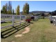 15  Bunyan Street, Bredbo NSW 2626