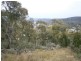 16 Norris Street, Cooma NSW 2630
