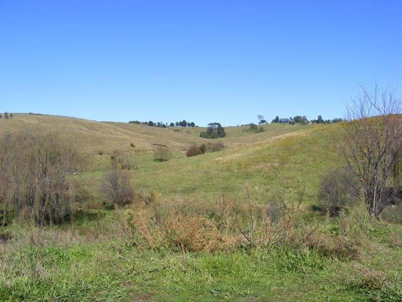 50-52 Panbula Street, Candelo NSW 2550