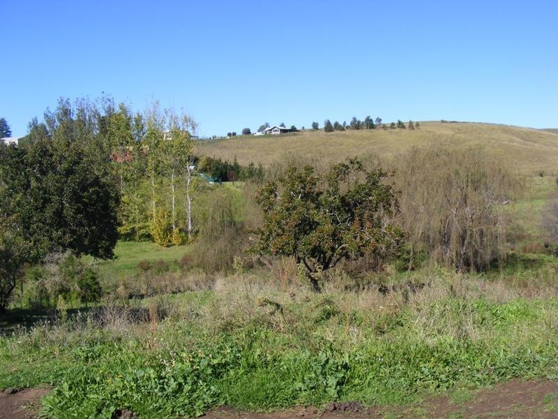 50-52 Panbula Street, Candelo NSW 2550