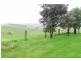 257 Kameruka Lane, Candelo NSW 2550