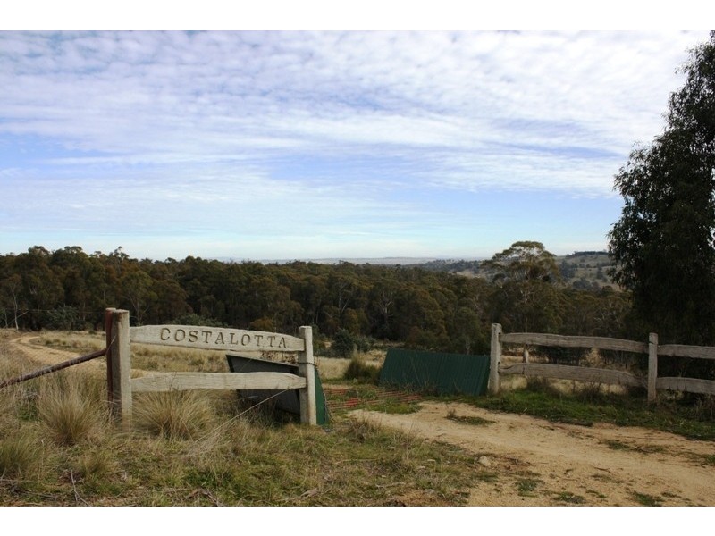 Lot 3 Newline Road, Nimmitabel, Cooma NSW 2630
