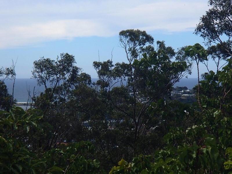 81 Monaro Street, Merimbula NSW 2548