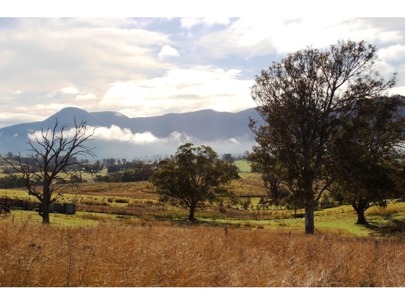 48, 50, 52  Parkes Street, Bemboka NSW 2550