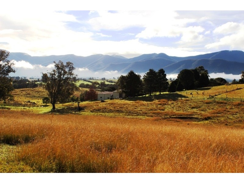 48, 50, 52  Parkes Street, Bemboka NSW 2550