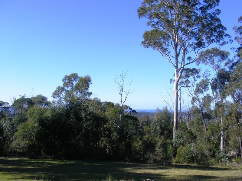 730 Mumbulla Creek Rd, Tanja NSW 2550