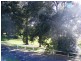 24  Park Lane, Bega NSW 2550