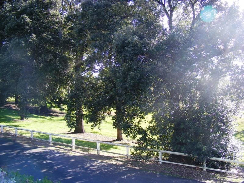 24  Park Lane, Bega NSW 2550