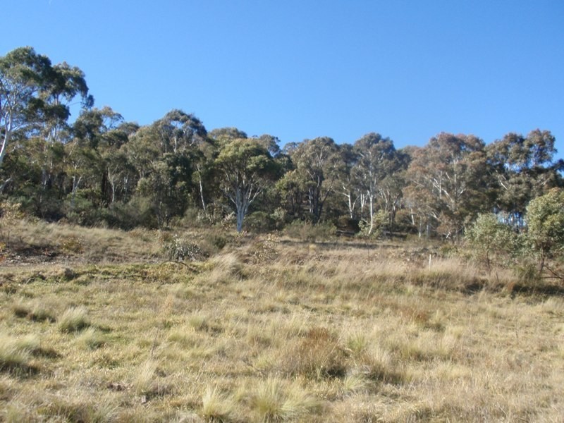 Lot 2, 330 Beresford Road, Numeralla NSW 2630