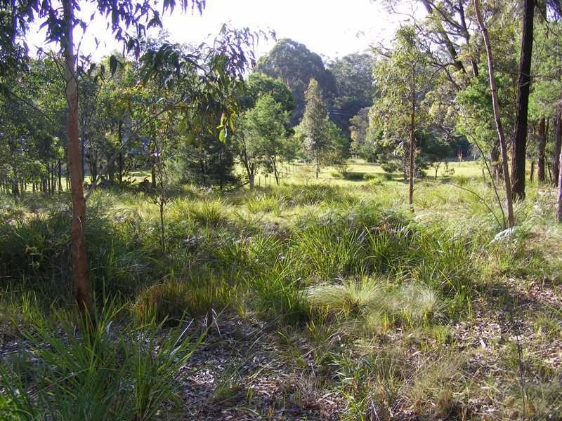 Lot 36 Bournda Park Way, Kalaru NSW 2550