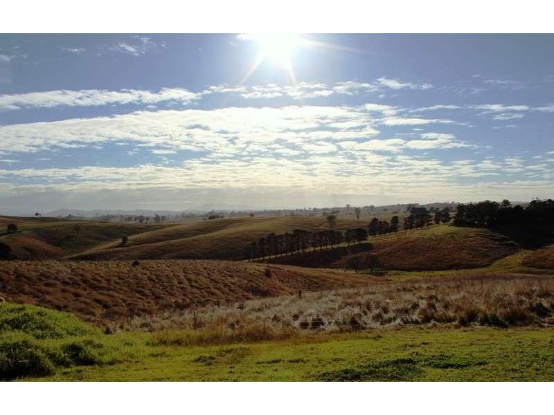 147 Towridgee Lane, Candelo NSW 2550